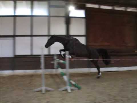 BELLA v. Bonard de Charry VB 6.500,- Euro