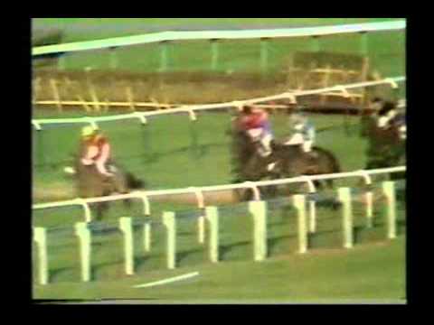 Horse Racing 1981 Kim Muir Chase Cheltenham Prince Charles