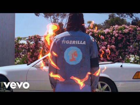 Tigerilla - Money in My Jeans (Official Video)