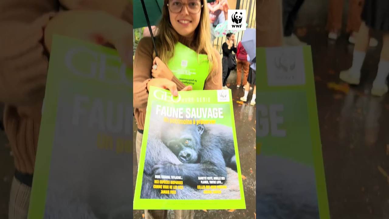 WWF - Bénévoles 16/06/26