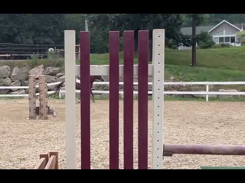 CMS Endeavor video 3