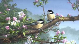 A Andorinha da Primavera (Little Bird Of Spring) ~Madredeus