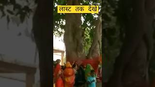 Vat Savitri Puja #festival #funny #feelingblessed#