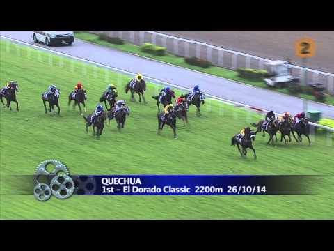 Longines Singapore Gold Cup 2014 Contenders (Quechua)