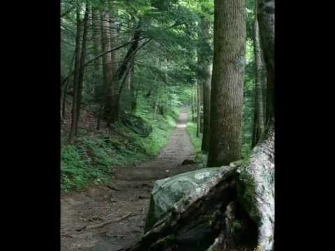 Take Heart My Friend