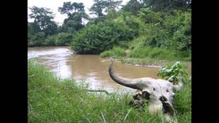 Cold Nites - How to Dress Well (Ethernt Remix)