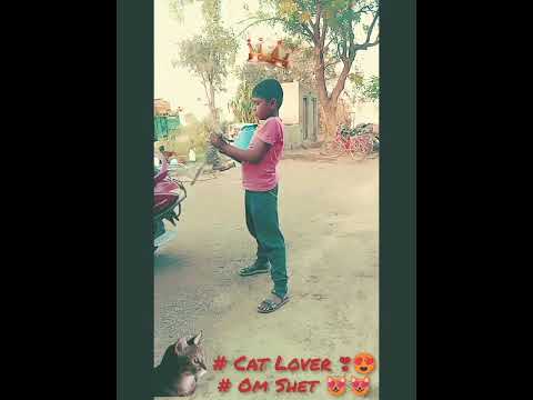 cat love 😚😘 OM Shet #cat #shots #automobile #unfrezzmyaccount