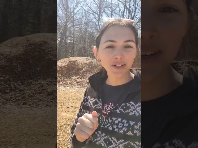 Hilltop Homestead makes short work of their ChipDrop with their sweet front loader! thumbnail