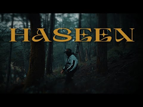 Talwiinder - Haseen (w/ NDS, Rippy Grewal) on Spotify Charts
