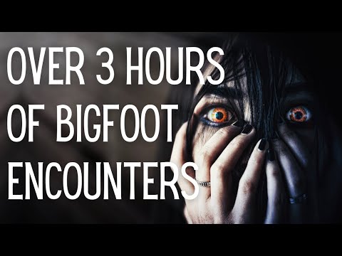 Bigfoot ULTRA MARATHON #20 - Over THREE HOURS of True Bigfoot Encounters!