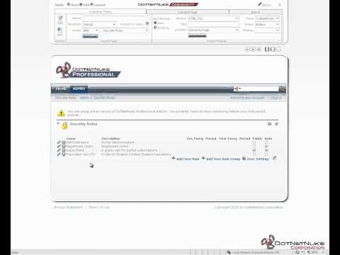 An Overview of Security Roles in DotNetNuke