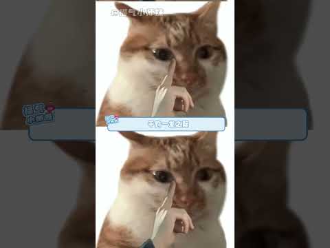 照片做DNA？律師憑一己之力力挽狂瀾 #反轉