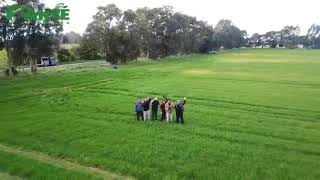 Are you sure what you're taking is Organic?