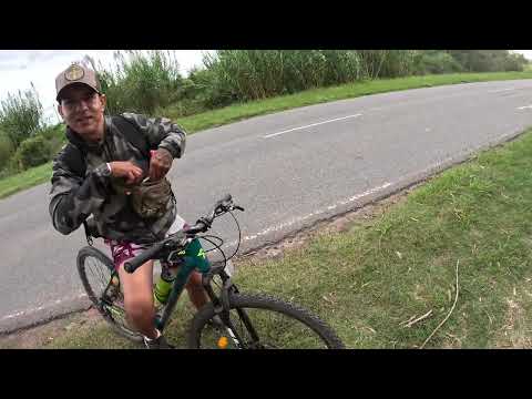 3 parte de santa fe a Nelson # bisi