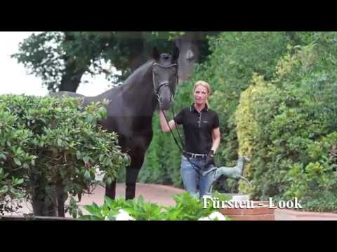 Fürsten look (Fürstenball x Londonderry x Weltmeyer)