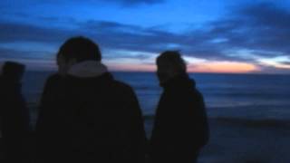 Iguana Lovers - Nuevo Orden