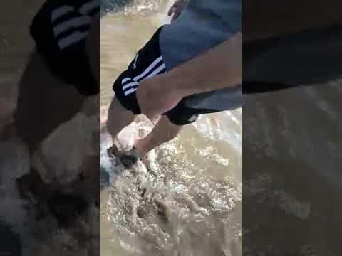 Alibaug beach #m2mferries