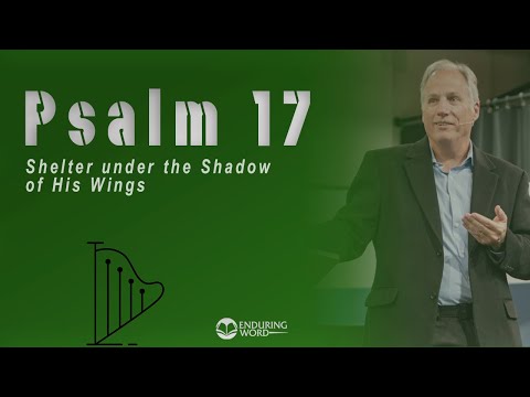 Psalm 17 - Shelter under the Shadow of His Wings