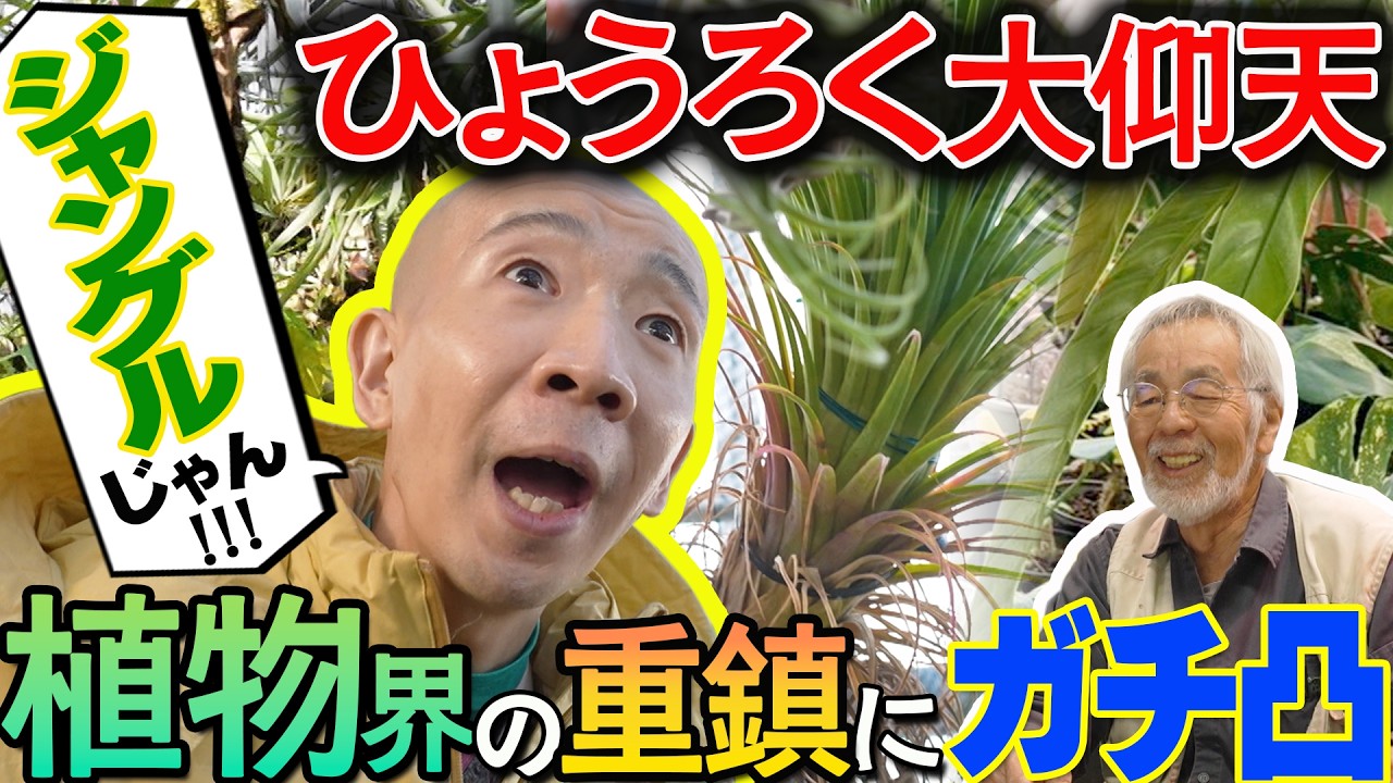 【ひょうろく旅】珍奇植物マニアのお店がヤバすぎる!!!レジェンド降臨✨／変態植物倶楽部～列島縦断！ひょうろくの未確認変態は何処に～／毎週土曜19時更新 #ひょうろく#珍奇植物 #観葉植物