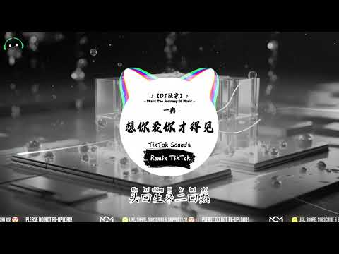 一冉 - 想你爱你才得见『想你想你不得见，爱你不得做一家，花开时节你在哪，花谢花落才相识』抖音最火｜ 氛围感BGM