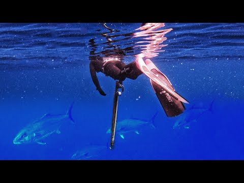 My first ever BLUEWATER Spearfishing trip was pretty insane...