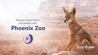 Varsity Tutors’ StarCourse - Desert Connections with the PHOENIX ZOO