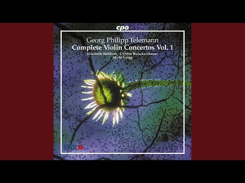 Violin Concerto in E Major, TWV 51:E2: I. Affettuoso