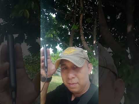 Video Proyek 1