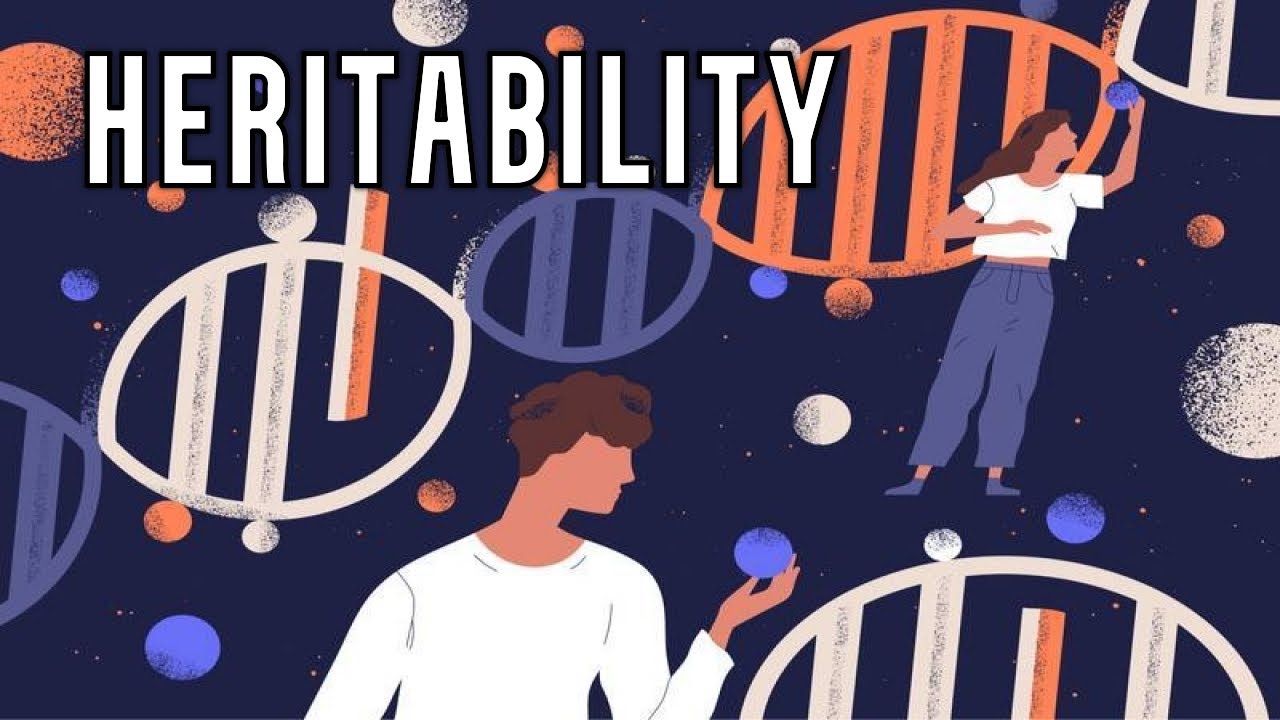 Heritability and Breeding value