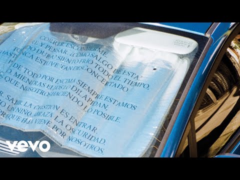 Babasónicos - Adiós en Pompeya (Cover Audio)