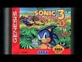 Classic Game Room SONIC THE HEDGEHOG 3 Review For Sega Genesis