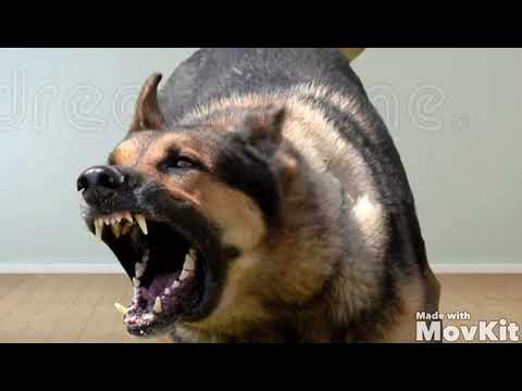 Fire Emblem Awakening: Lissa’s Best Moments! (FUNNY) 🤣🤣