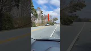 Download lagu Powerful Chainsaws Taking Down Giant Trees With Ease #shorts mp3