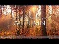 Klassische Musik Für Den Herbst