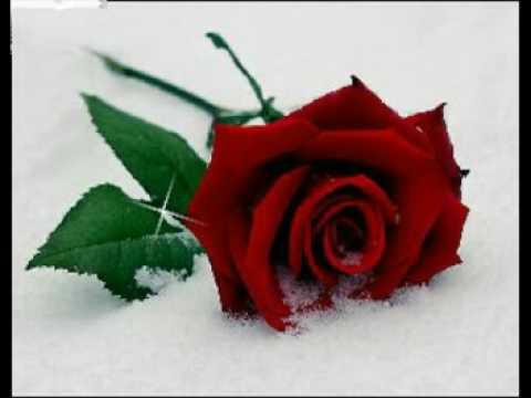 dj levent kara tokat mc ismail yk ve ebru yasar