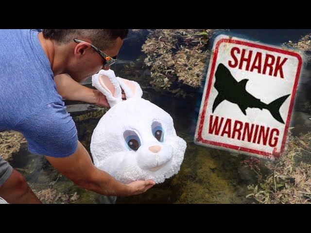 EASTER BUNNY Catches REAL Life BABY JAWS!!