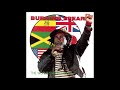Burning Spear - The Wilderness (Live in Paris Zenith 1988)