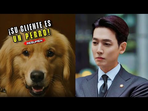 🔥FROM POWERFUL JUDGE TO PET DEFENSE ATTORNEY