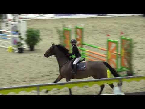 Linneas erstes Turnier mit Happinez (A-Spr. 4. Platz)