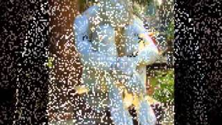 dark sanctuary - au milieu des sépultures