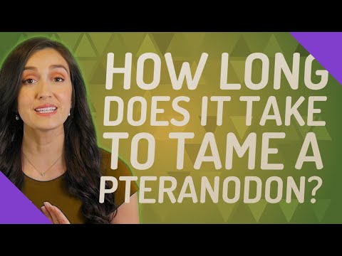 How long does it take to tame a Pteranodon?