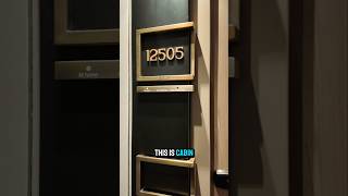 Solo Studio Cabin 12505 on the Norwegian Luna #NCL #NorwegianLuna #Cruise #CruiseLife