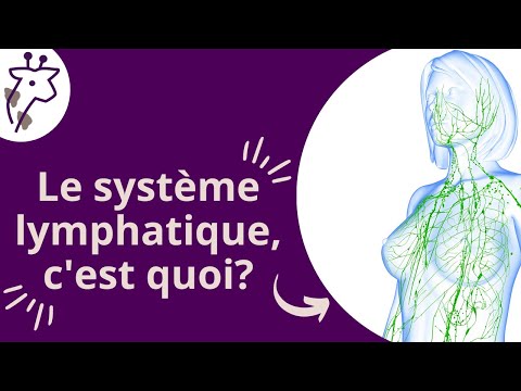 WHAT IS THE LYMPHATIC SYSTEM?