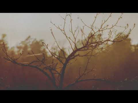 A Cerulean State - The bright lights around us began to dim