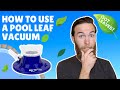 How to use a POOL LEAF VACUUM. The best way to remove leaves from a pool! - Big Sucker Leaf Catcher