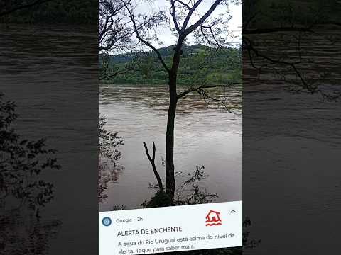 RIO URUGUAI em ITAPIRANGA SC SANTA CATARINA ALERTA DE ENCHENTE divisa RIO GRANDE DO SUL #shorts