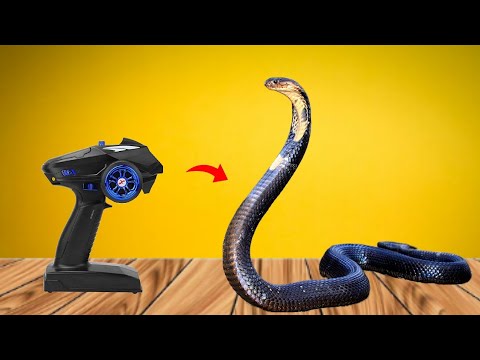 rc prank snake || unboxing || #sanke