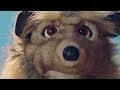 Amason - Marry Me Just For Fun (Official Video)