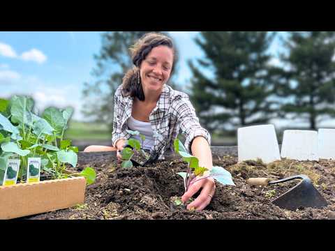 Act Now: Plant These Crops Before Last Frost!