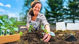 These Crops NEED to be Planted NOW (before your last frost date)